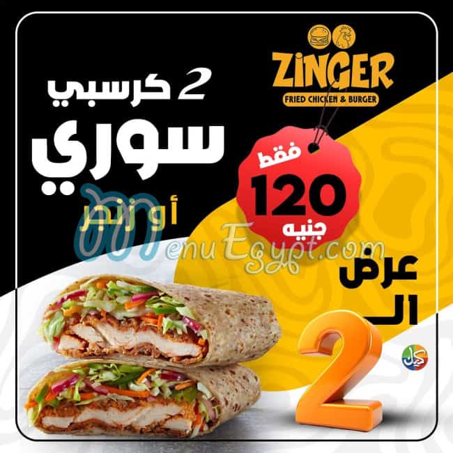 أسعار زنجر مصر