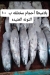 Asmak Abo Yasmeen menu Egypt 3