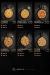 Bremer Burger menu Egypt 11