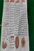 king menu Egypt