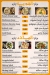 Lamma View menu Egypt 3
