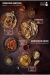 Maharaja menu Egypt 5