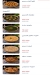 Marassi Fish menu prices