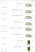 Meal Factory menu Egypt 8