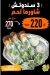 Medan El Sham menu Egypt 5