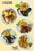 Murano Restaurant and Cafe online menu