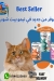 Nemo pet shop egypt