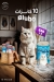 Pets world egypt