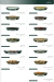 Savor menu Egypt 2