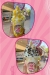 Soft Cream menu Egypt 9