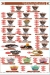 Tasty Froty menu Egypt 1