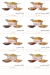 Wok and Walk menu Egypt 1